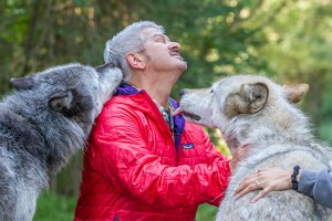 Walk with real wolves