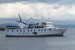 Choice of Cruise Yachts