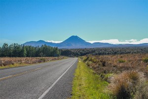 Tongariro Park