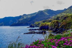 Flores Azores Coastline