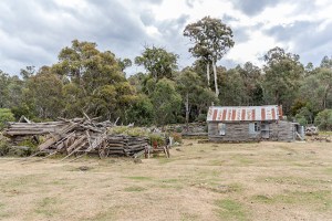 old historic homestead