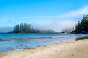 morning mist at Tofino